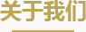 公司介绍